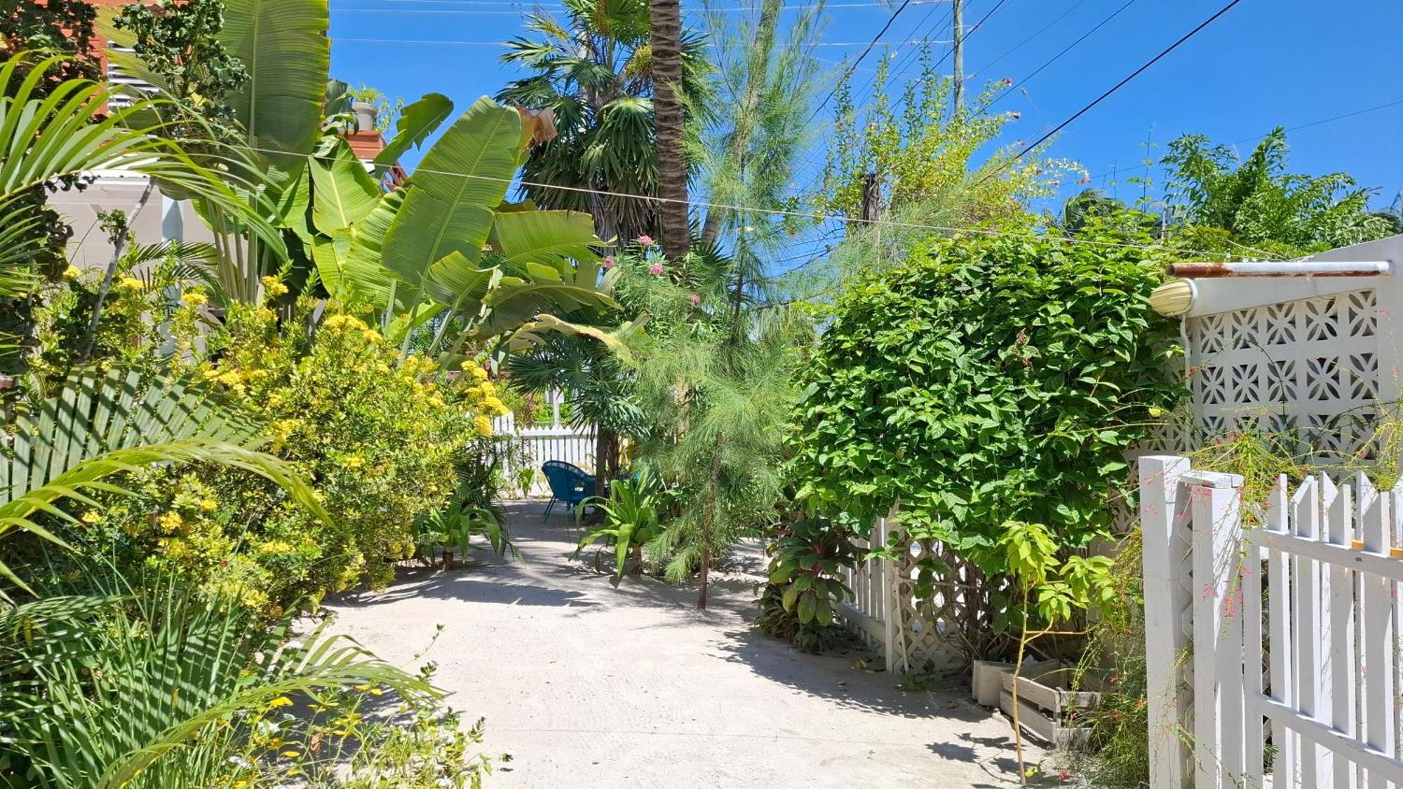 Amanda'S Place Casa Amancer - Sea View, Pool And Tropical Garden Caye Caulker Eksteriør bilde