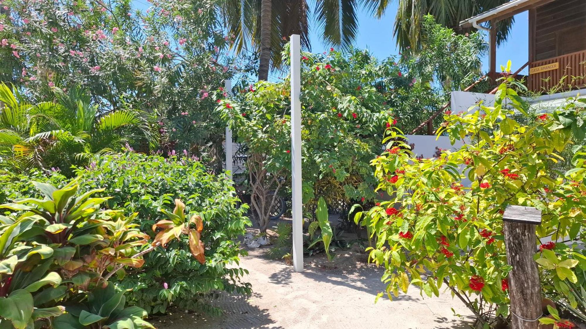Amanda'S Place Casa Amancer - Sea View, Pool And Tropical Garden Caye Caulker Eksteriør bilde