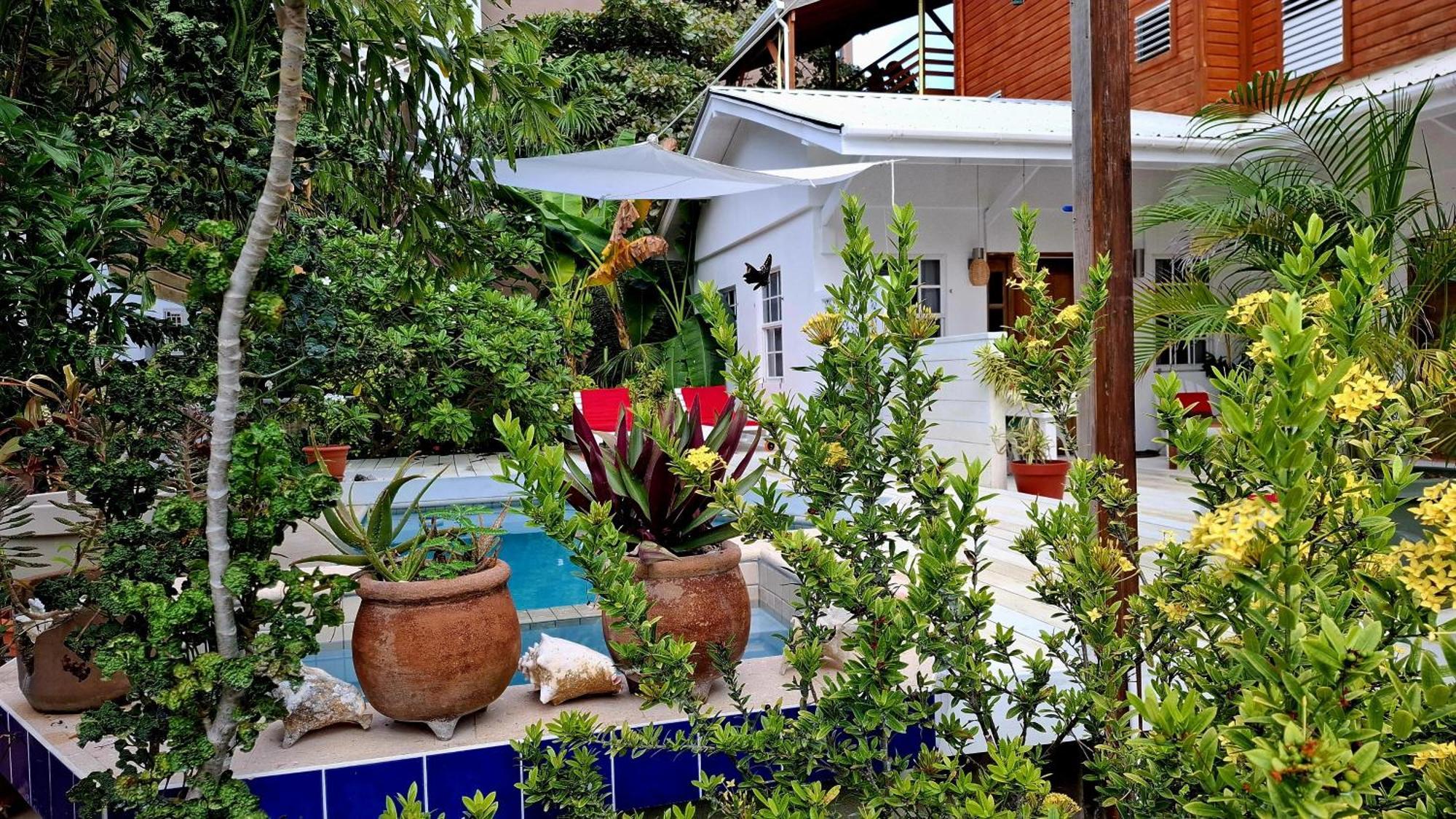 Amanda'S Place Casa Amancer - Sea View, Pool And Tropical Garden Caye Caulker Eksteriør bilde